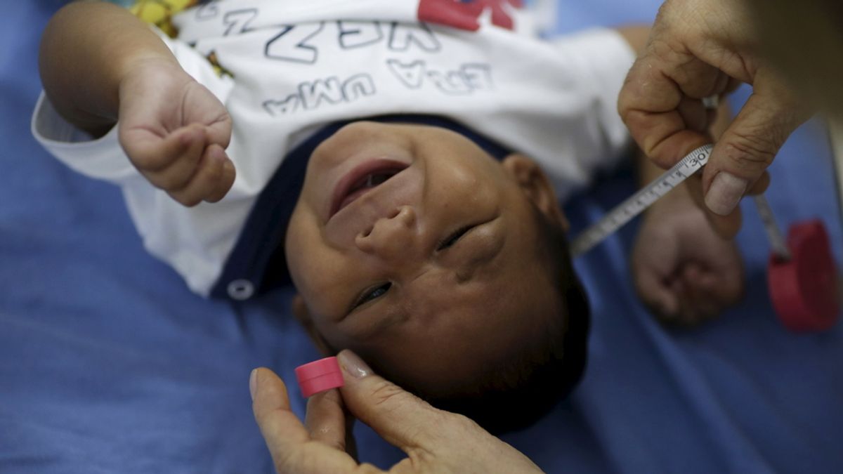 La OMS declara emergencia mundial por el virus del Zika
