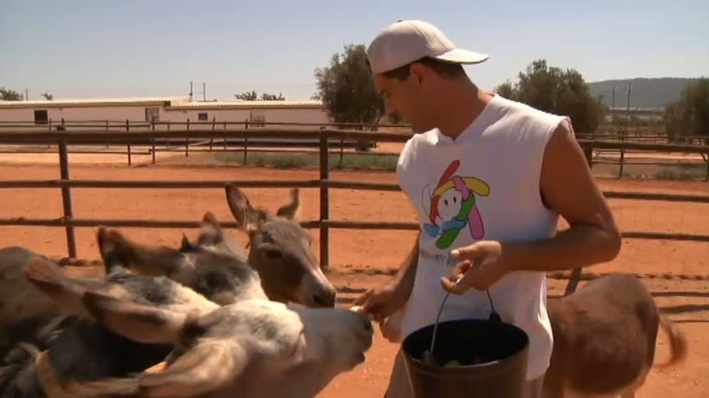 La selva en casa, Programa 4
