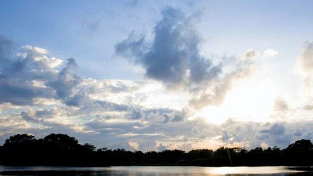 Honduras, por Mario Picazo