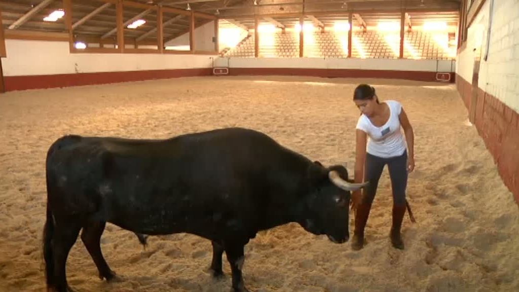 La selva en casa, Programa 4