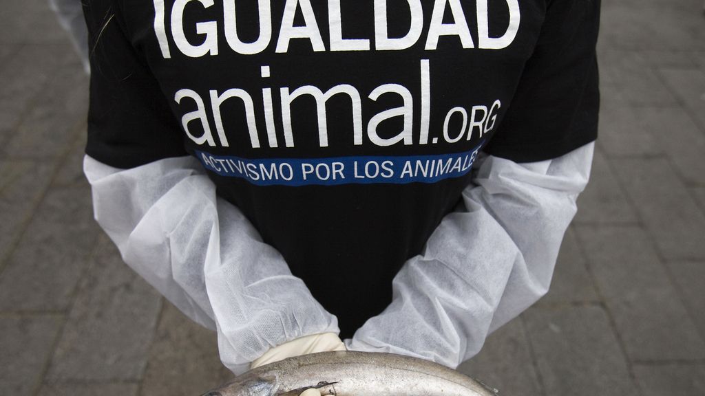 Protestas en pro de los animales en la Puerta del Sol
