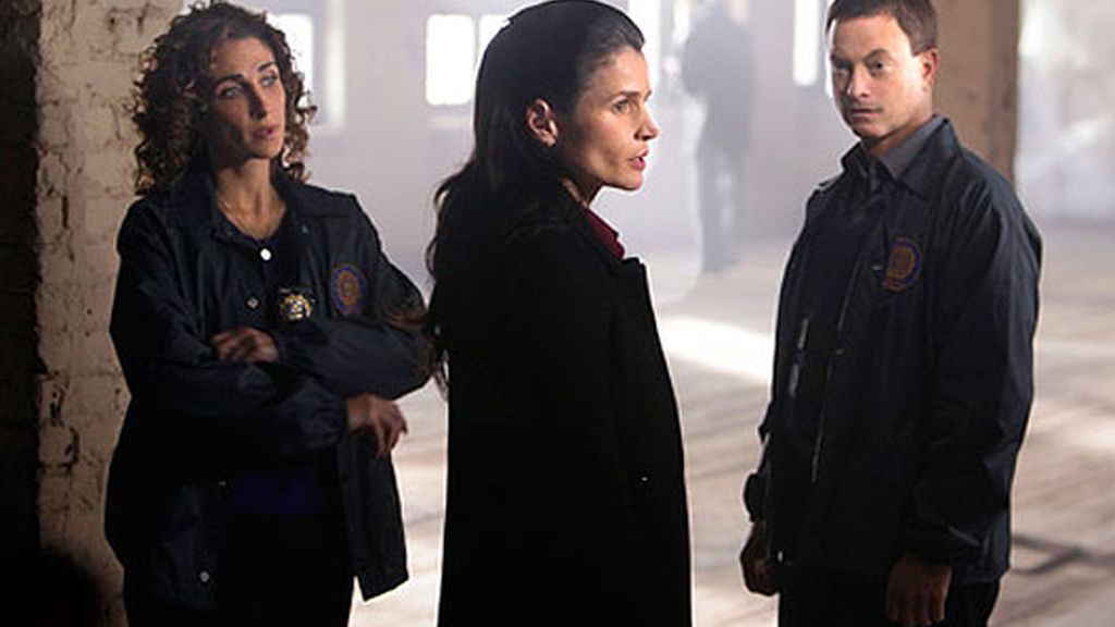 CSI Nueva York, Capítulo 5x14