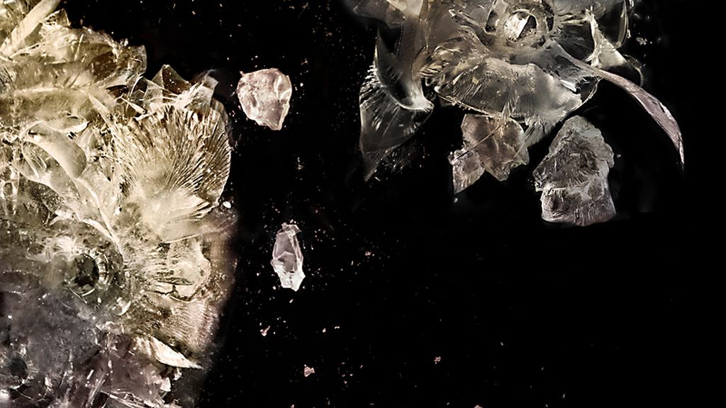 Todo lo que se puede ver en una bala