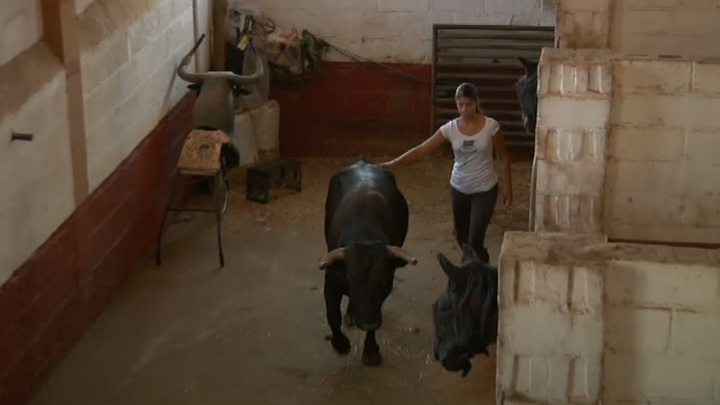 La selva en casa, Programa 4