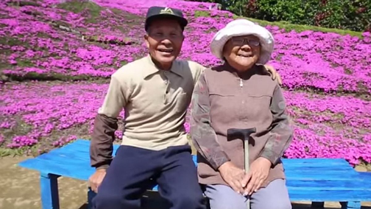 Plantó un jardín entero de flores rosas para alegrar a su mujer
