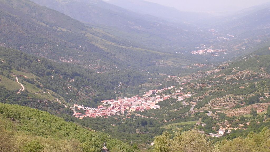 Concusantes Efecto ¡GUAU!... en vacaciones