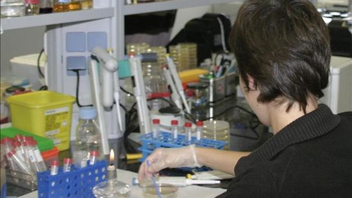 Una investigadora trabaja en un laboratorio. EFE/Archivo