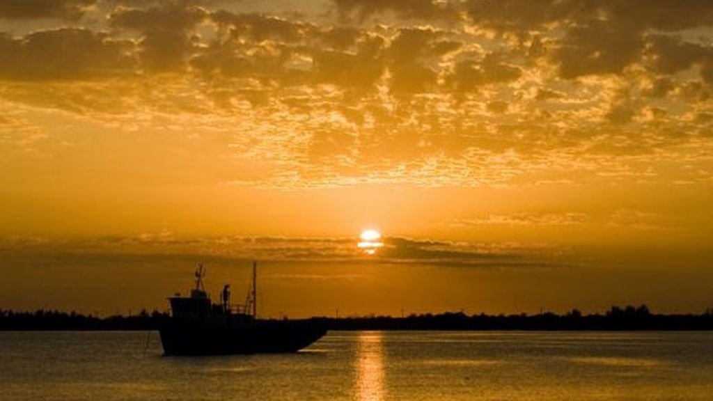 Honduras, por Mario Picazo