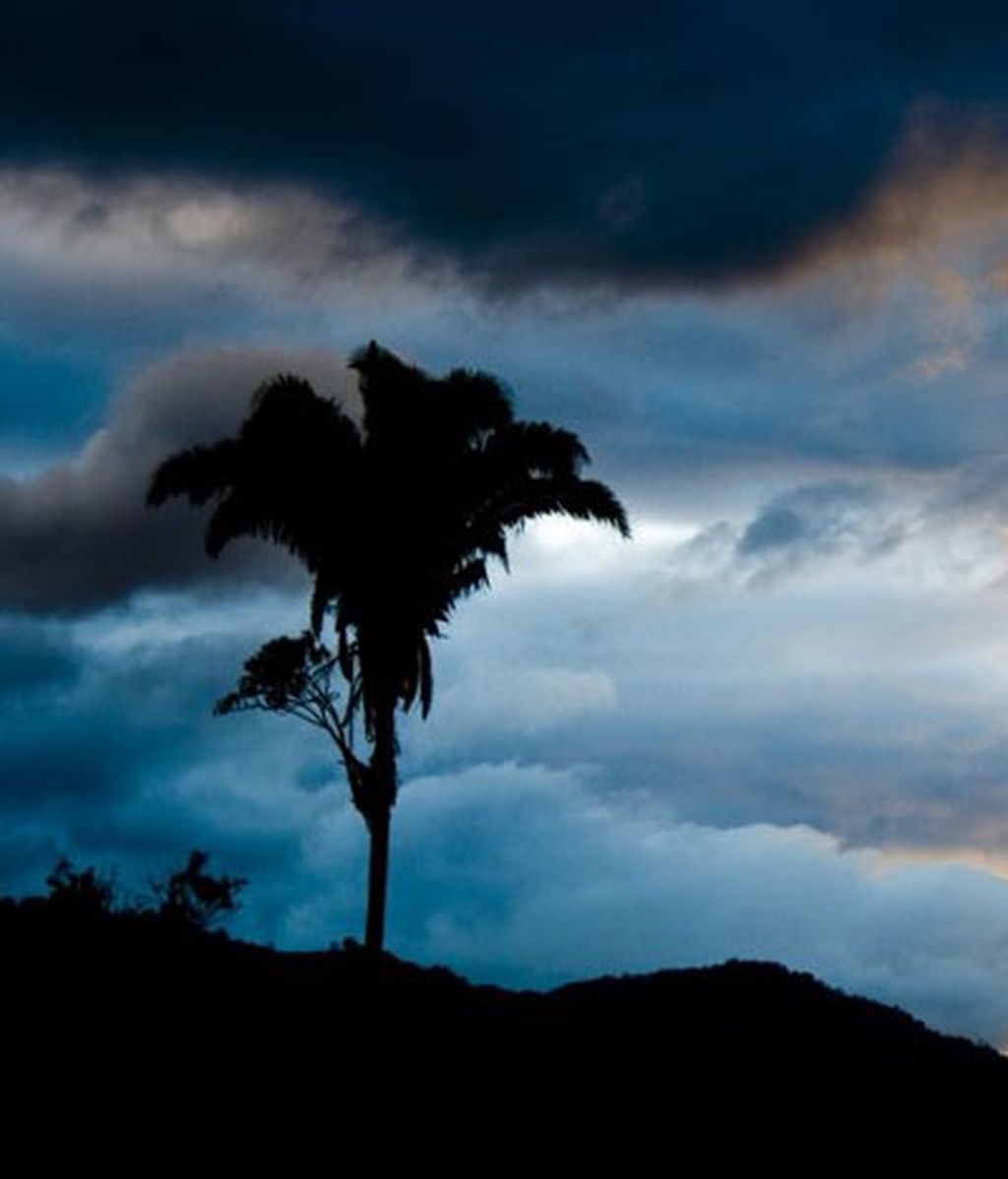 Honduras, por Mario Picazo