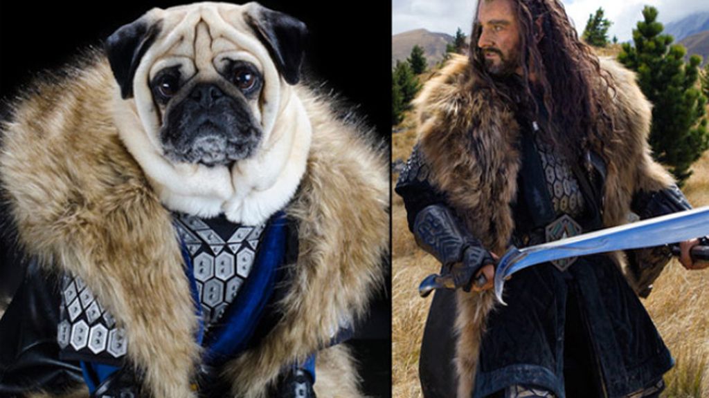 Pugs Carlinos disfrazados
