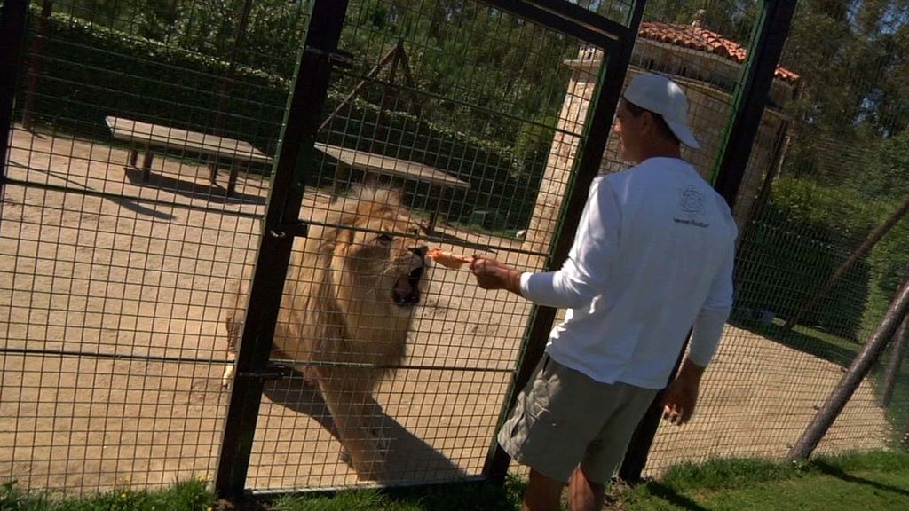 Frank Cuesta recorre España buscando selvas dentro de casas