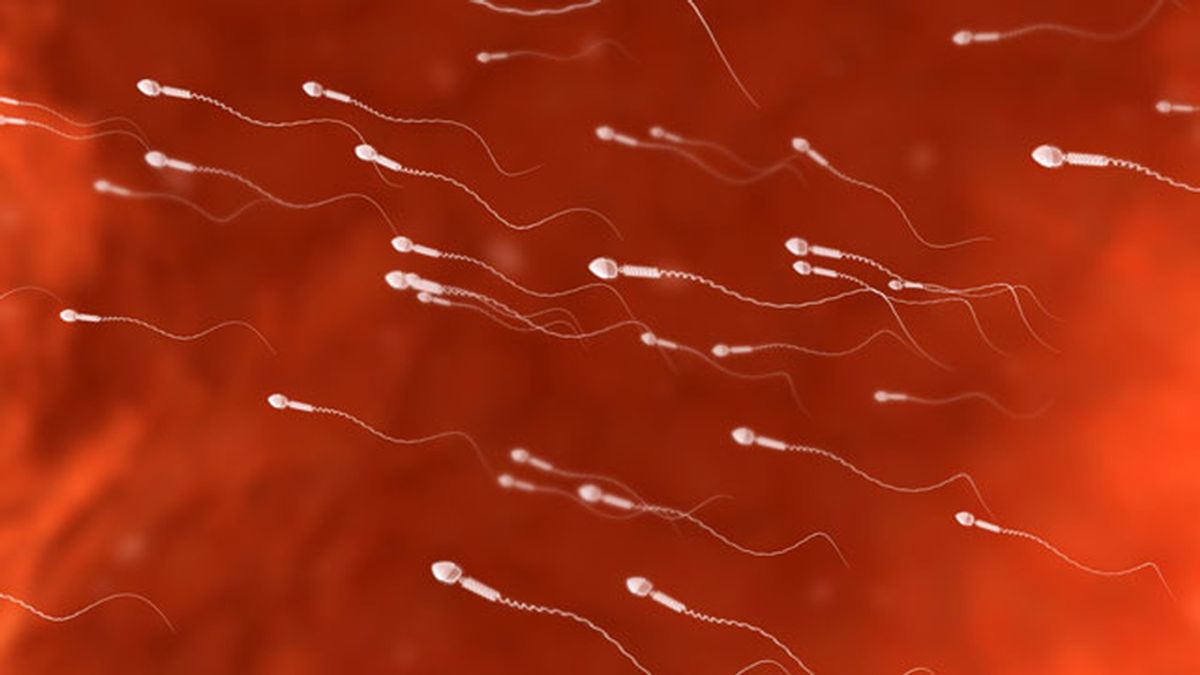 Ultrasonidos en los testículos, ¿el último anticonceptivo masculino?