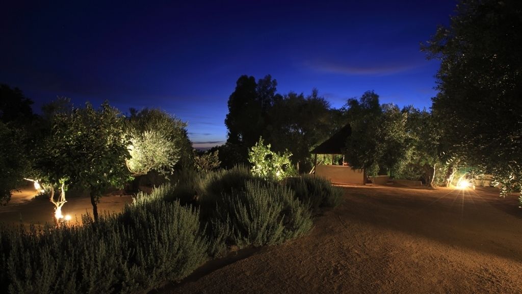 Desconectar entre jardines iluminados