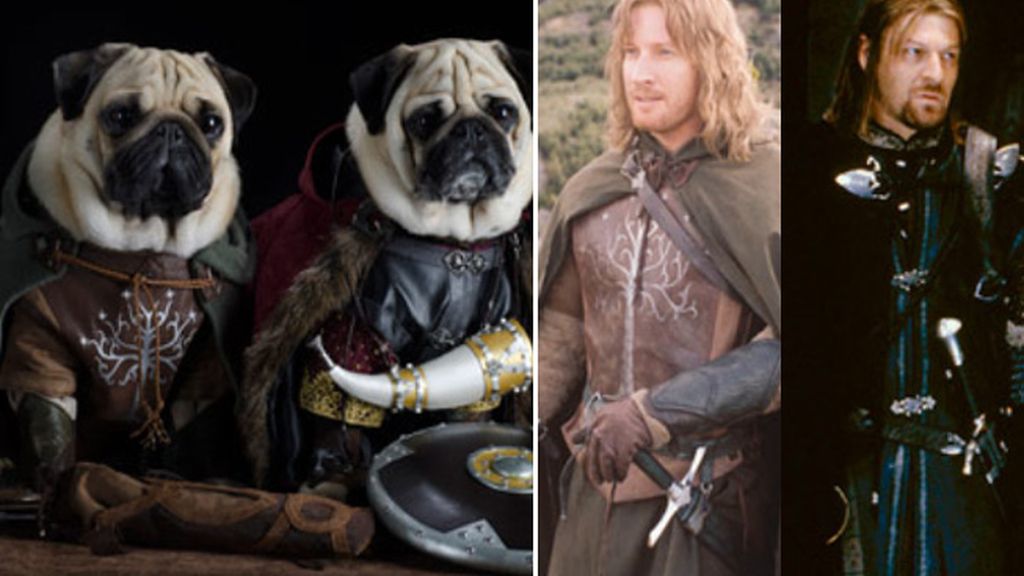 Pugs Carlinos disfrazados
