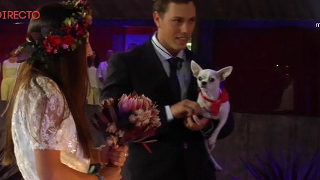 Carlos e Ivy se dan el sí quiero en la casa de 'GH 16'