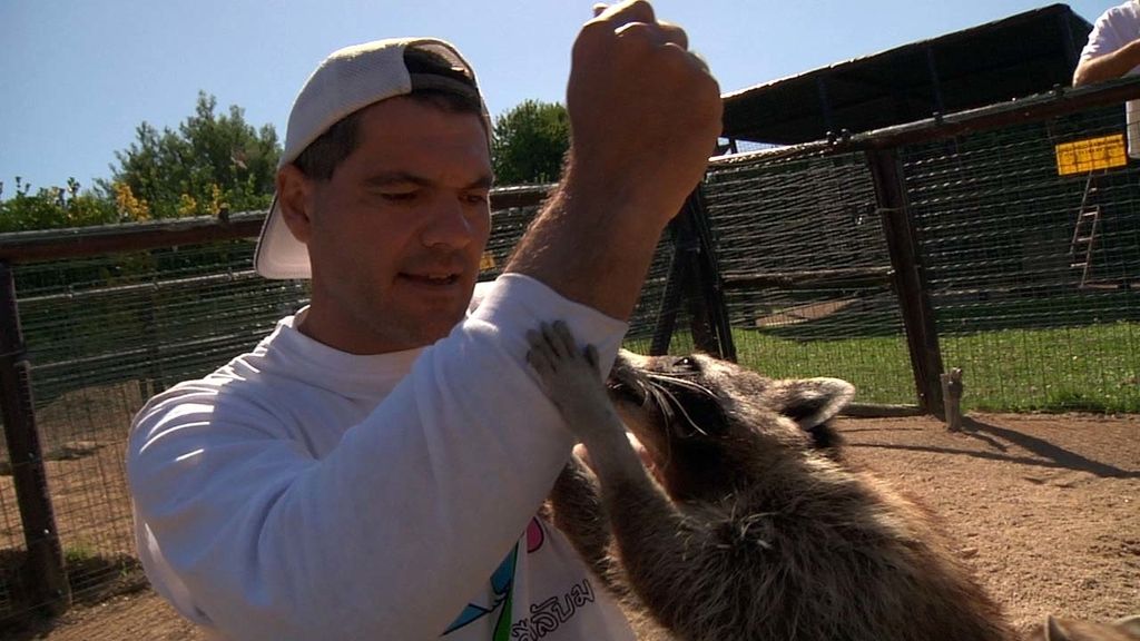 Frank Cuesta recorre España buscando selvas dentro de casas