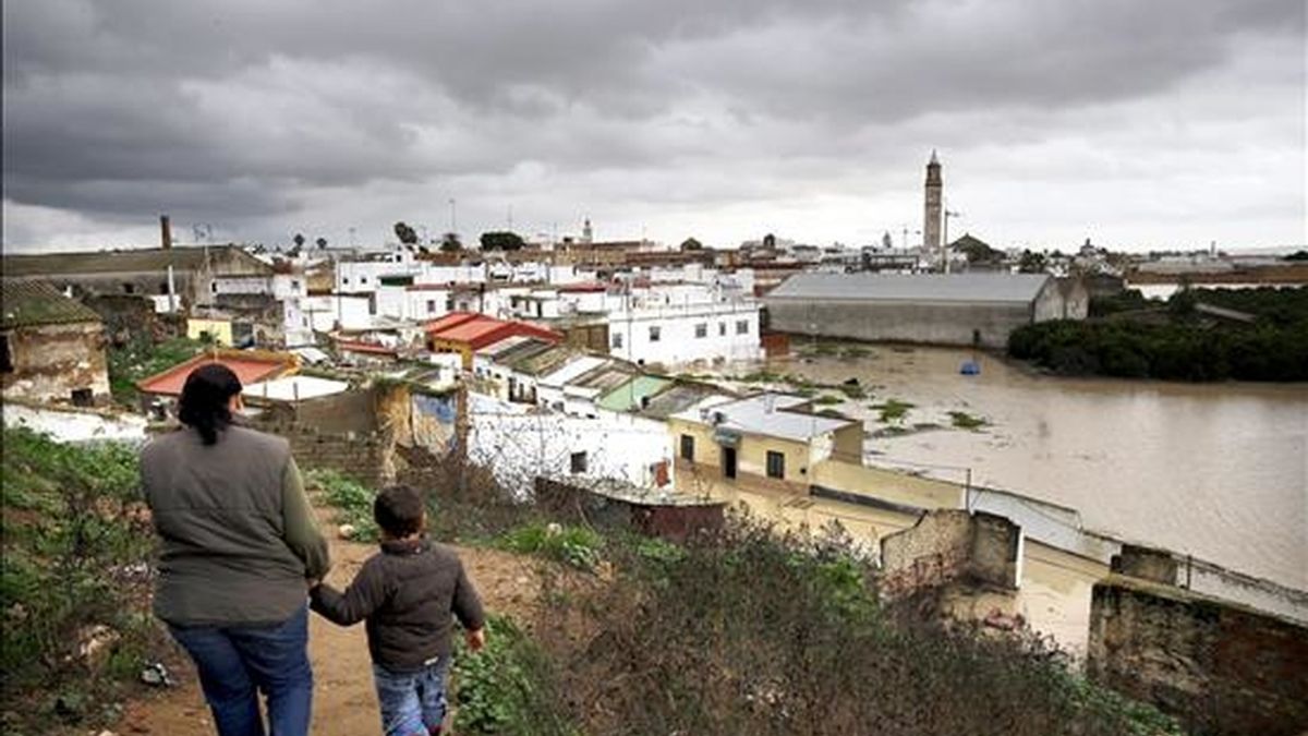Vista de Lora del Río (Sevilla). EFE Vista de Lora del Río (Sevilla). EFE