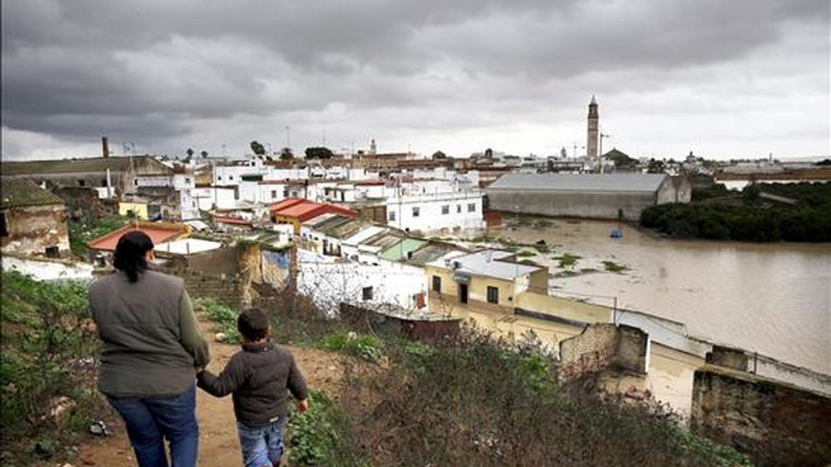 Vista de Lora del Río (Sevilla). EFE