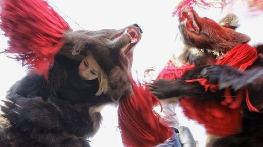 ¿Quién teme al oso feroz?