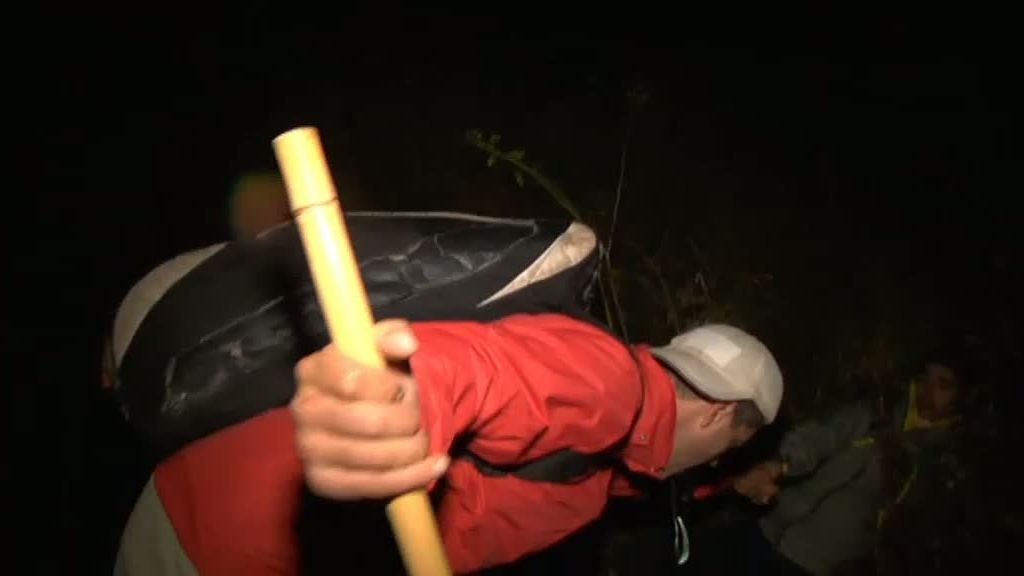 La cabra montesa y el buitre leonado despiden 'La selva en casa'