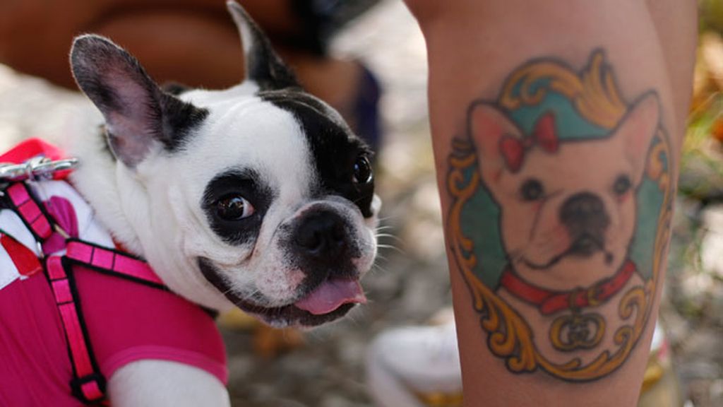 ¿Conoces los beneficios para la salud de tener una mascota?