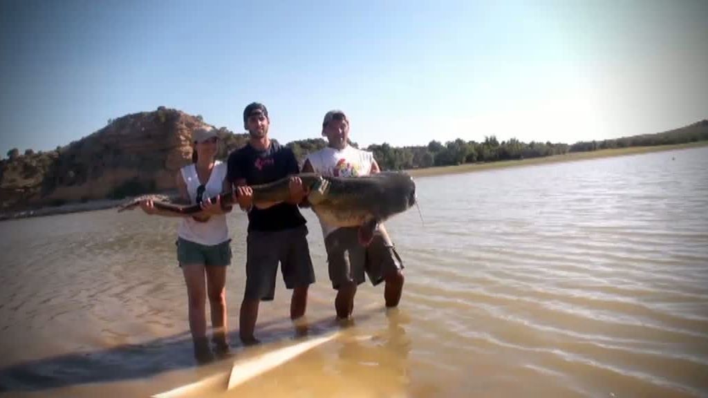 Frank pesca un siluro