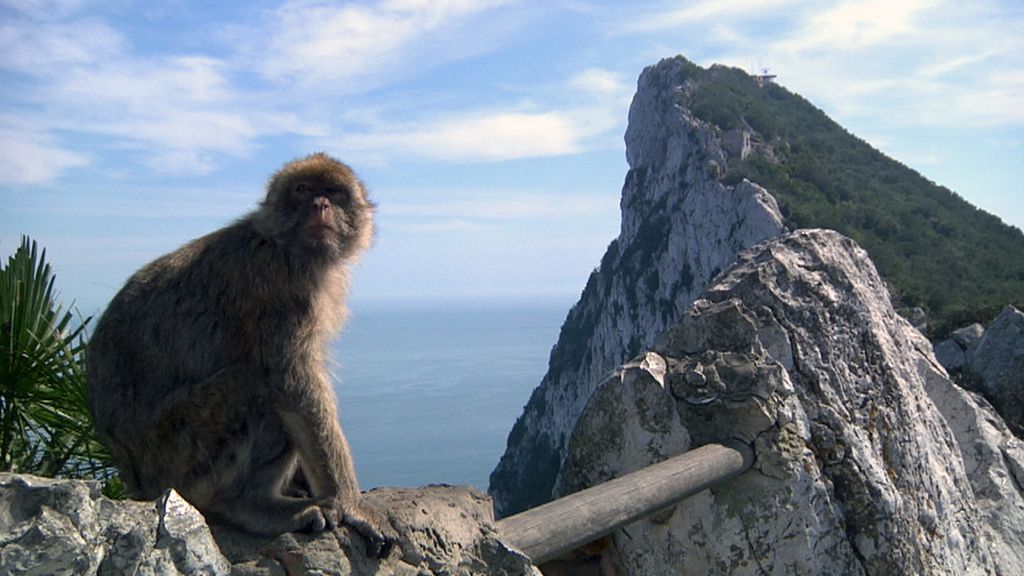 'Callejeros', testigos del conflicto con Gibraltar