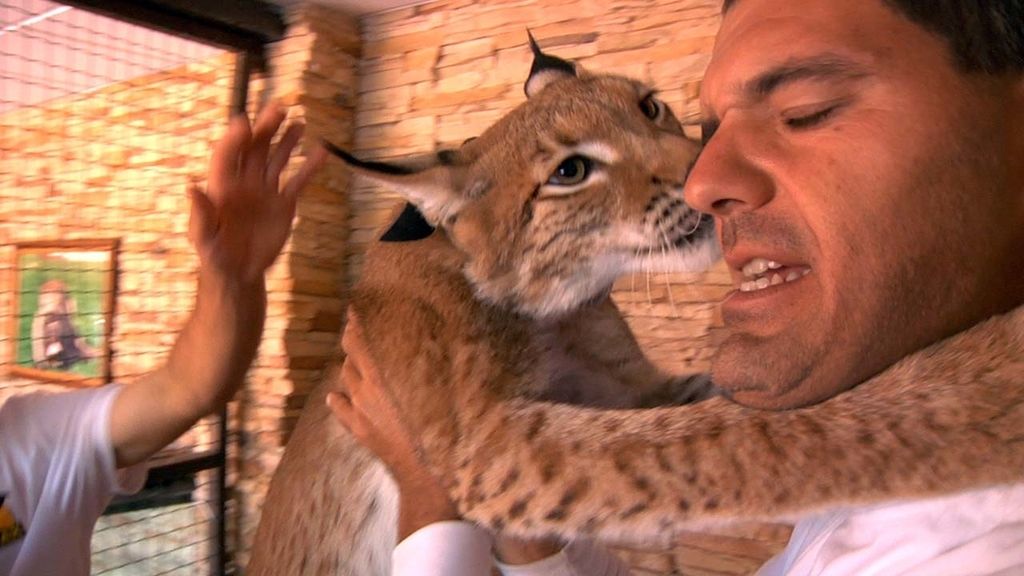 Frank Cuesta recorre España buscando selvas dentro de casas