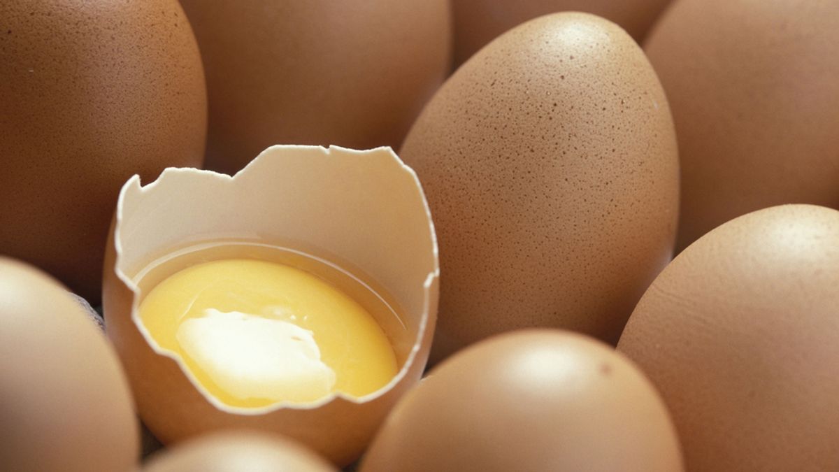 Los huevos aumentan la memoria