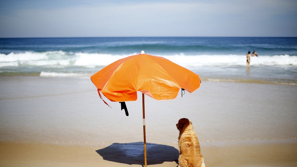 Domingo 8 de junio: La sombrilla que no falte si vas a Brasil durante el Mundial