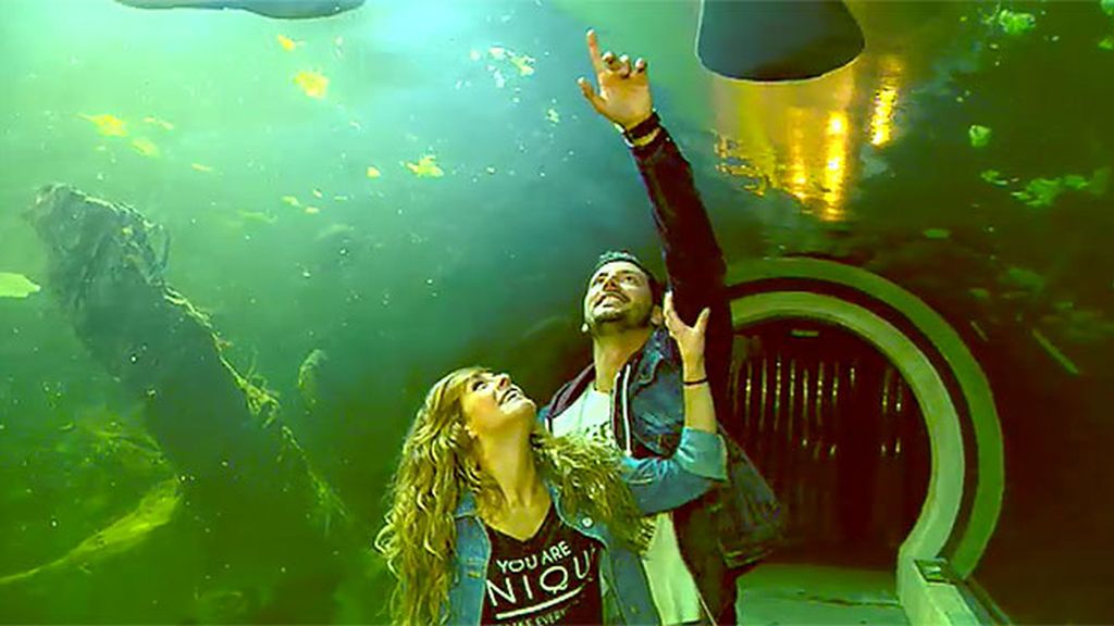 Susana, sobre Shaila: "Creo que me tiene envidia porque soy una chica súper feliz"