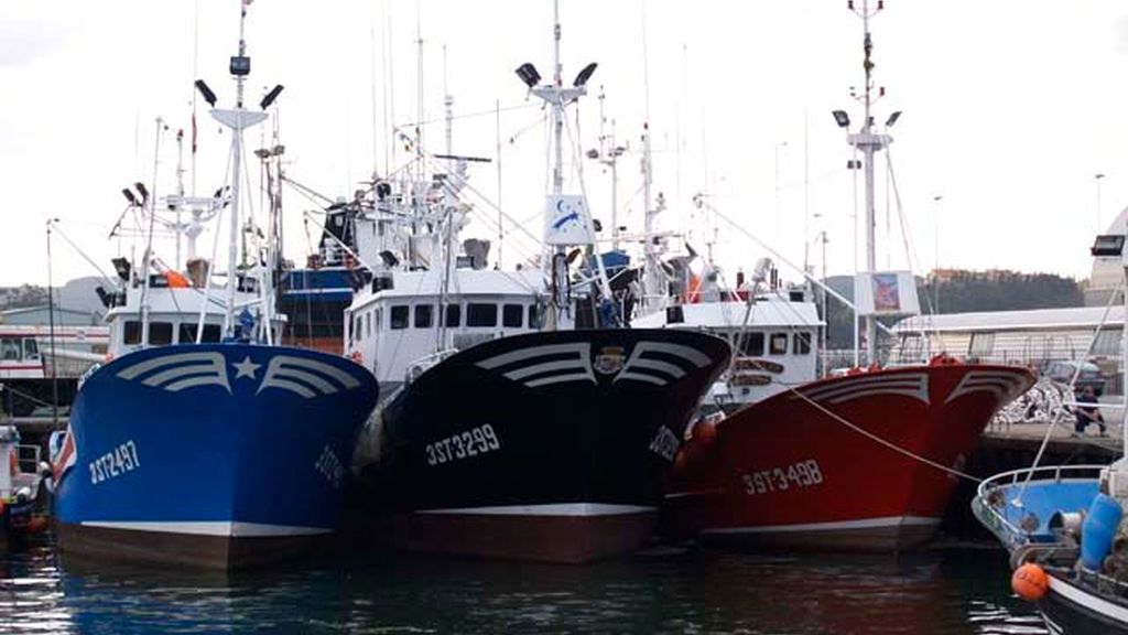 Barcos pesqueros amarrados