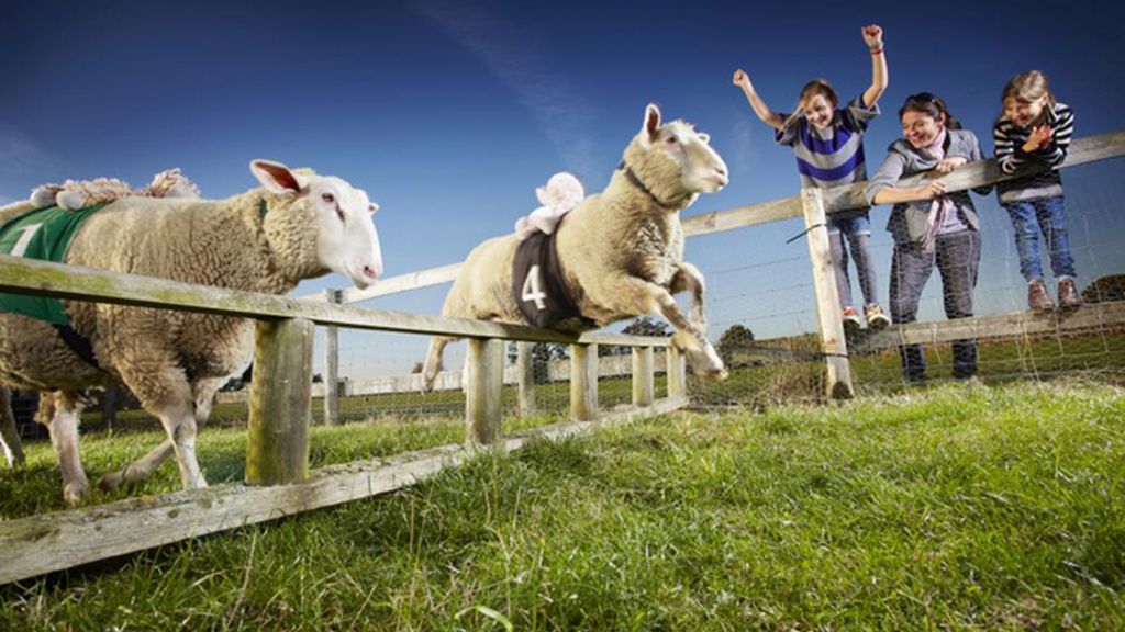 Nueva edición del libro Guinness de los Récords