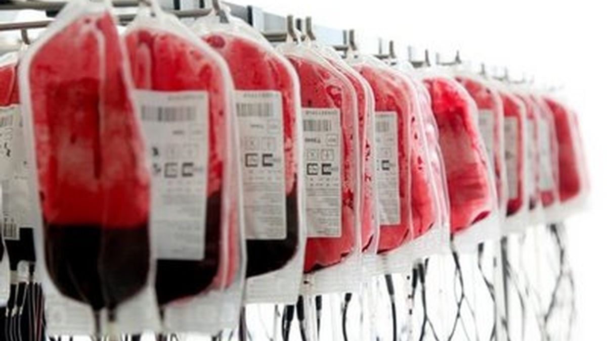 donación de sangre, transfusión de sangre, sangre