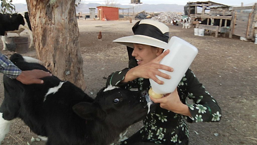21 días viviendo con ‘menomitas’