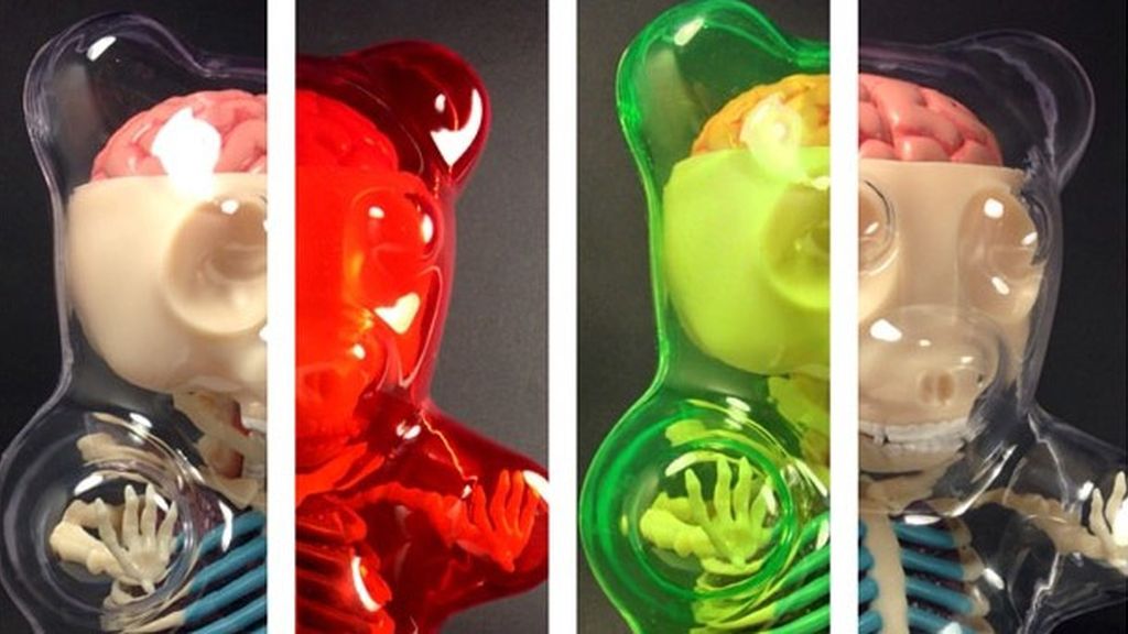 Así sería el interior de los ositos gummy  si fuesen de carne y hueso