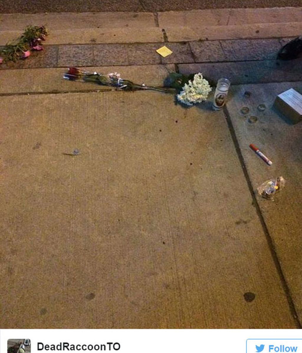 Toronto se vuelva con un animal muerto