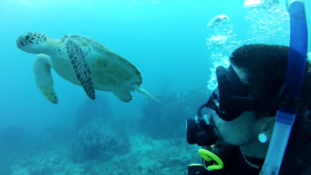 Cayos de Florida, un puente hacia el paraíso