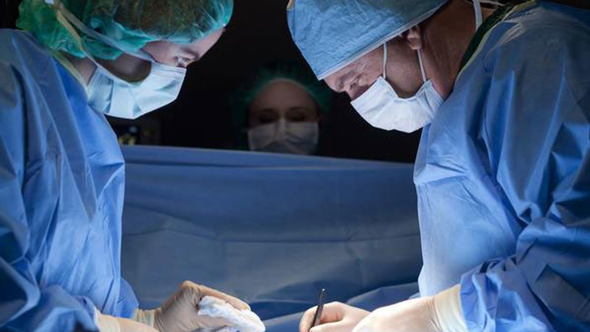 Más de un centenar de personas ha recibido un riñón en España por la 'donación cruzada'