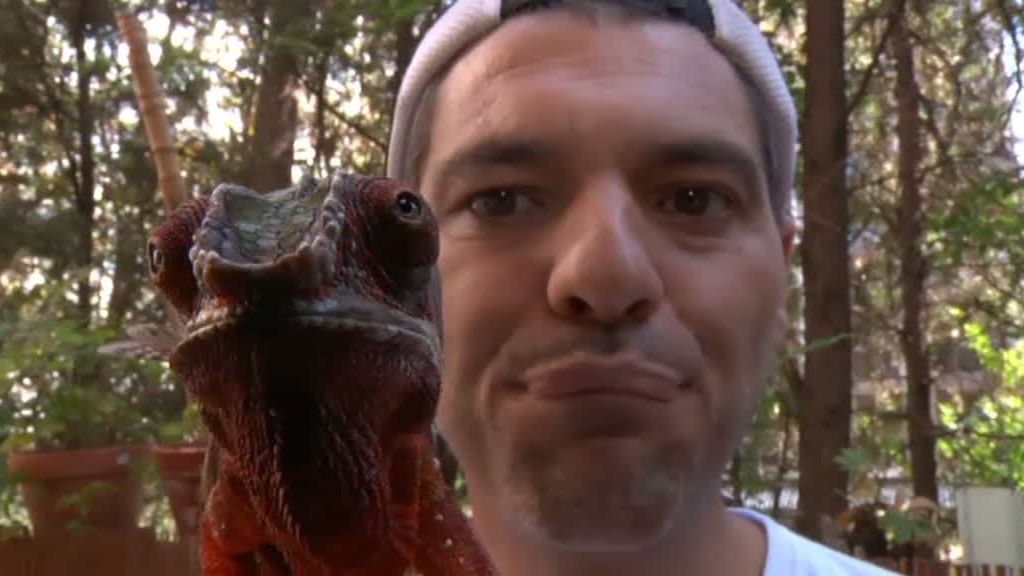 La selva en casa, Programa 4