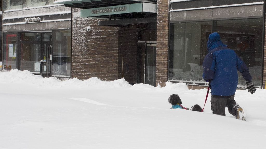 La supertormenta Nemo