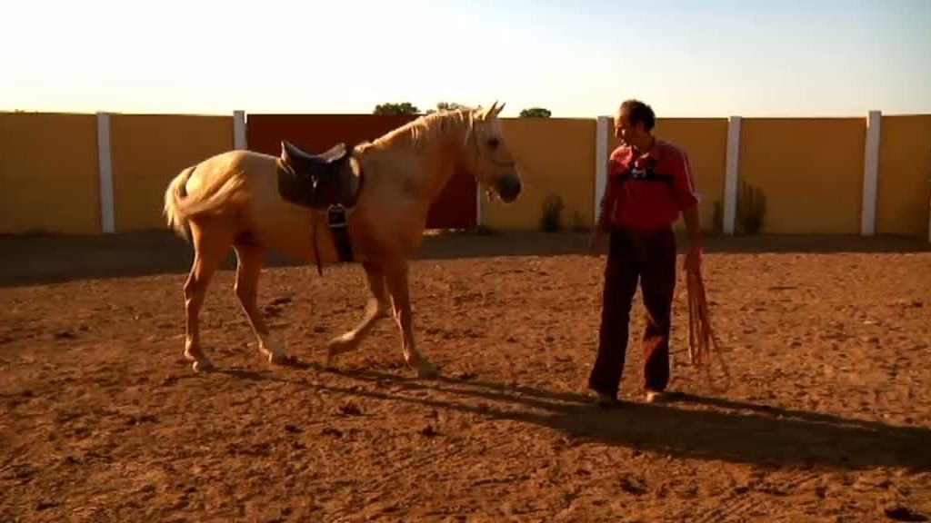 La cabra montesa y el buitre leonado despiden 'La selva en casa'