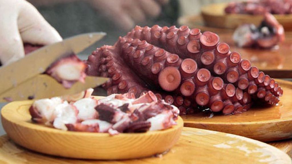 Pulpo, Galicia