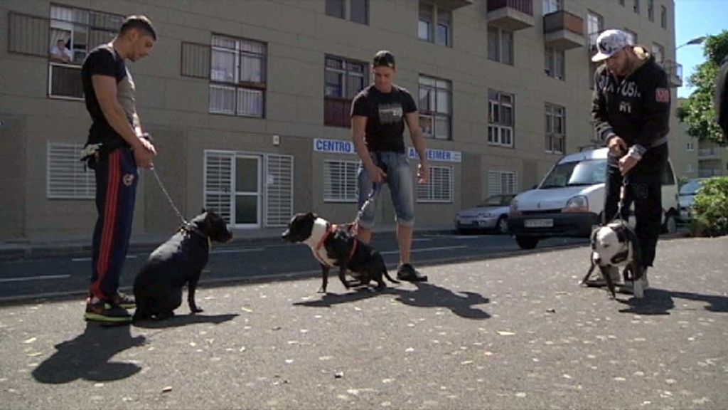 'Callejeros' en el barrio de Añaza en Santa Cruz de Tenerife