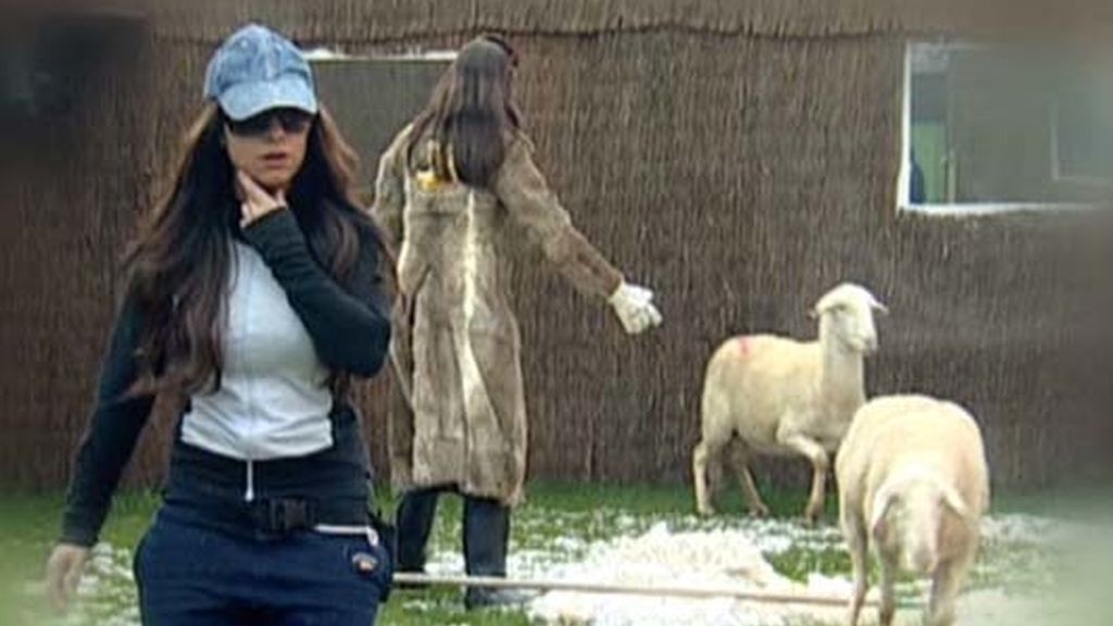 Eva, Ana, Gema y sus ovejitas