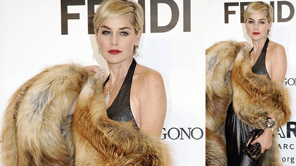 Sharon Stone, “un horrible ser humano” para PETA
