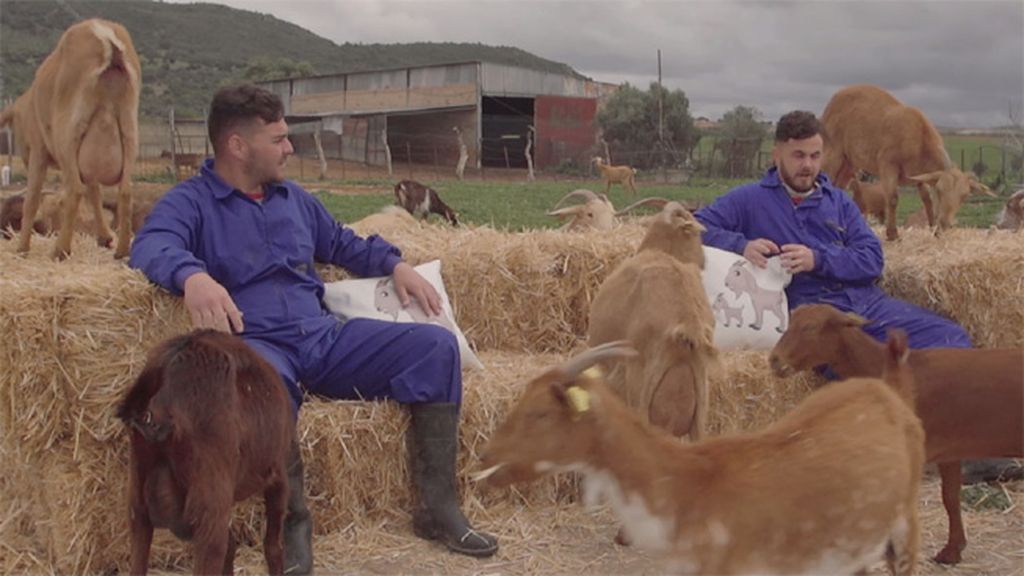 Así es el día a día de Juanmi: cuida a sus cabras y ganado, trabaja con su hermano...