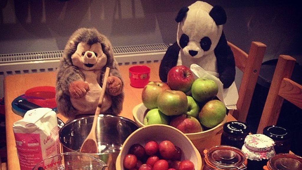 Crea espectaculares desayunos con peluches para el disfrute de sus hijos adoptivos