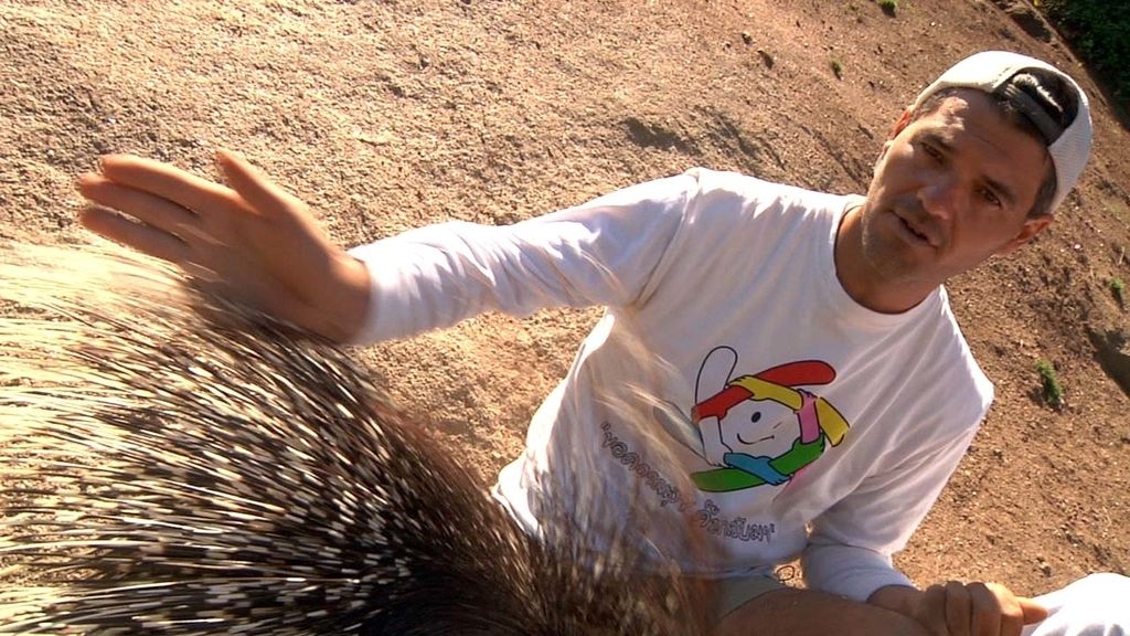 Frank Cuesta recorre España buscando selvas dentro de casas