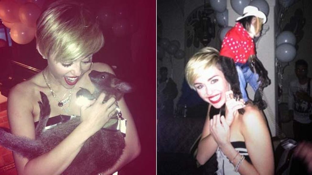 Las últimas excentricidades de Miley en su Twitter